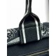 Medium Dior Book Tote