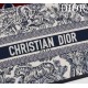 Medium Dior Book Tote