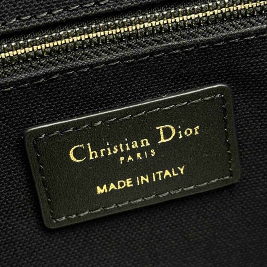 Small Dior Book Tote