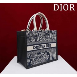 Small Dior Book Tote