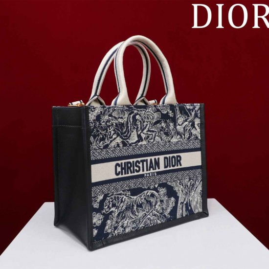 Small Dior Book Tote