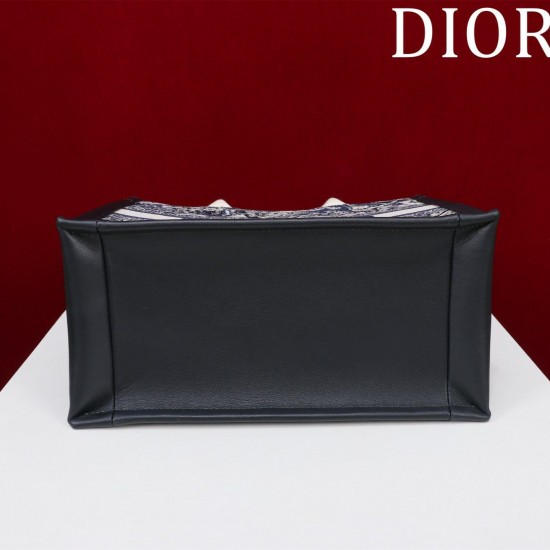 Small Dior Book Tote