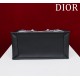 Small Dior Book Tote