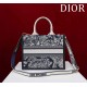 Small Dior Book Tote