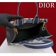 Small Dior Book Tote