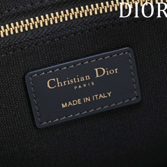 Small Dior Book Tote