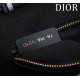 Small Dior Book Tote