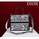 Small Dior Book Tote