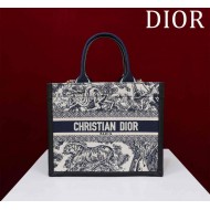 Small Dior Book Tote