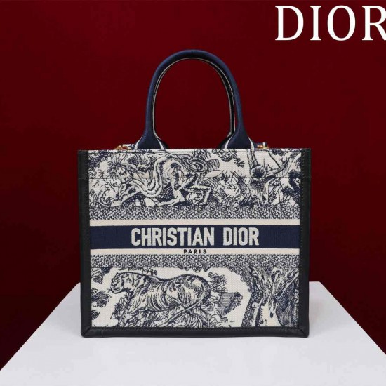 Small Dior Book Tote