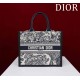 Small Dior Book Tote