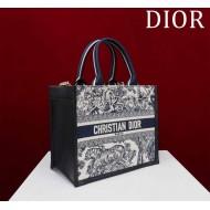 Small Dior Book Tote