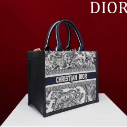 Small Dior Book Tote