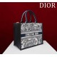 Small Dior Book Tote