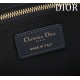 Small Dior Book Tote