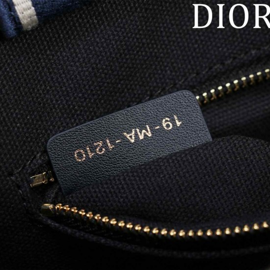 Small Dior Book Tote