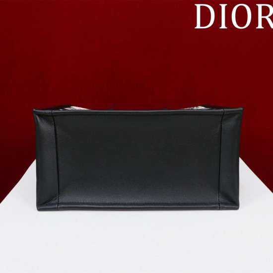 Small Dior Book Tote