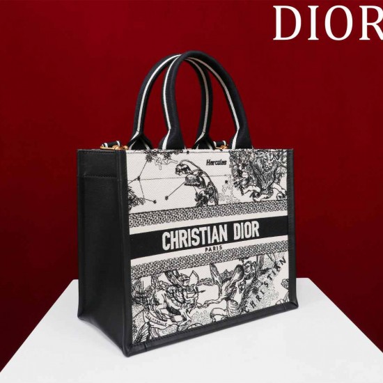 Small Dior Book Tote