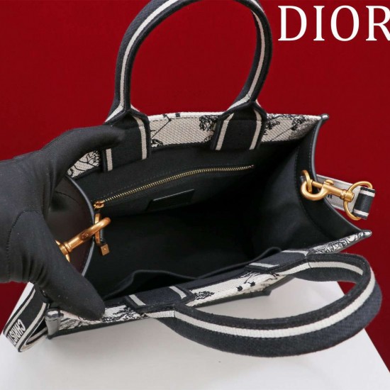 Small Dior Book Tote