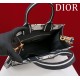 Small Dior Book Tote