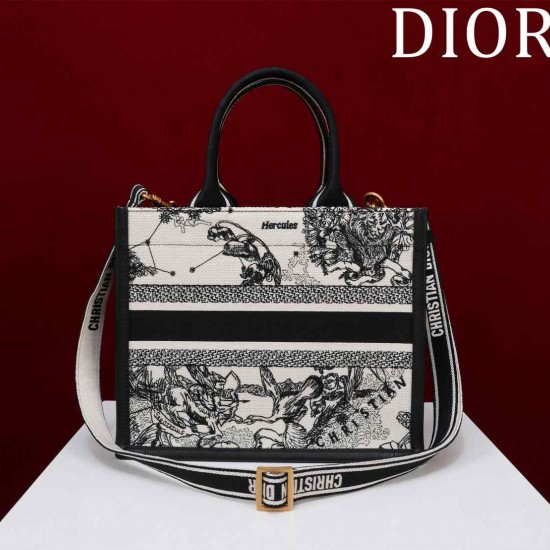 Small Dior Book Tote