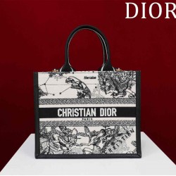 Small Dior Book Tote