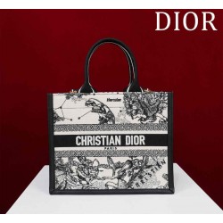 Small Dior Book Tote