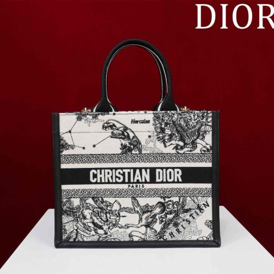 Small Dior Book Tote