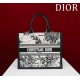 Small Dior Book Tote