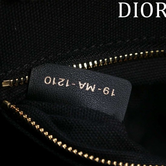 Small Dior Book Tote