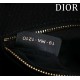 Small Dior Book Tote