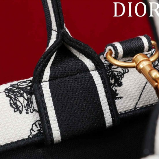 Small Dior Book Tote