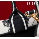 Small Dior Book Tote