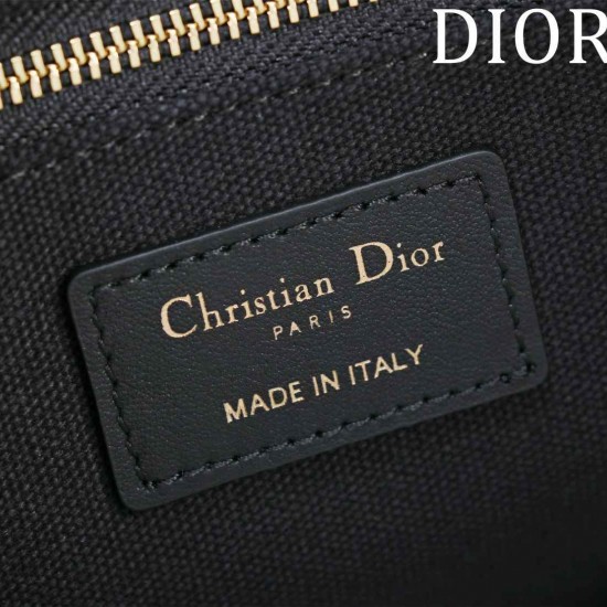 Small Dior Book Tote