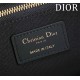 Small Dior Book Tote