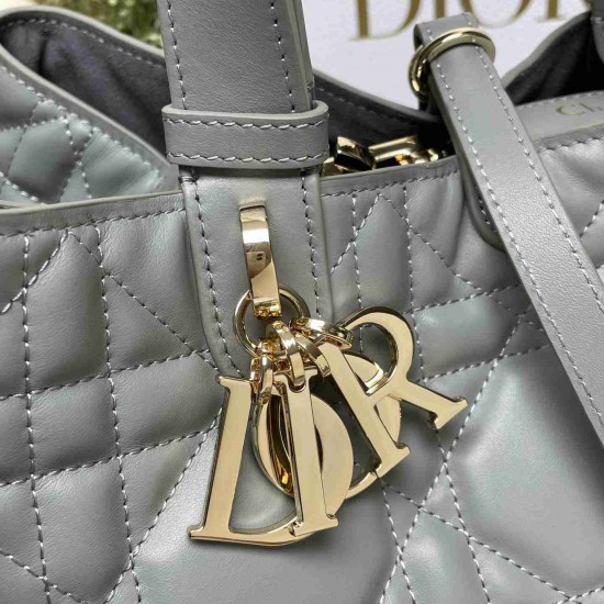 Medium Dior Toujours Bag