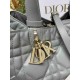 Medium Dior Toujours Bag