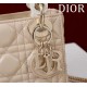 Mini Lady Dior Bag