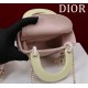 Mini Lady Dior Bag