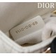 Mini Lady Dior Bag