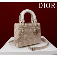 Small Lady Dior Bag