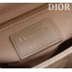 Small Lady Dior Bag