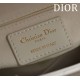 Small Lady Dior Bag