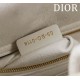 Medium Lady Dior Bag