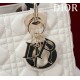 Medium Lady Dior Bag