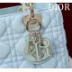 Medium Lady Dior Bag