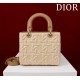 Medium Lady Dior Bag