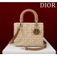 Medium Lady Dior Bag