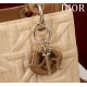 Medium Lady Dior Bag