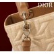 Medium Lady Dior Bag